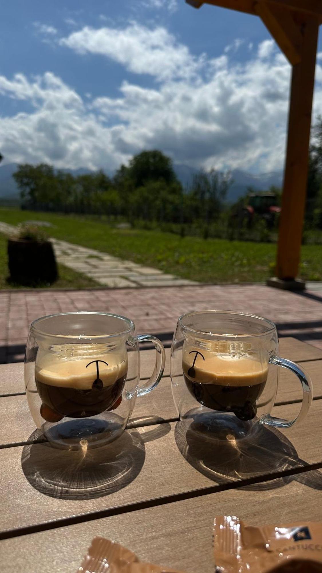 Casuta Cu Tihna Villa Porumbacu de Sus Exteriör bild