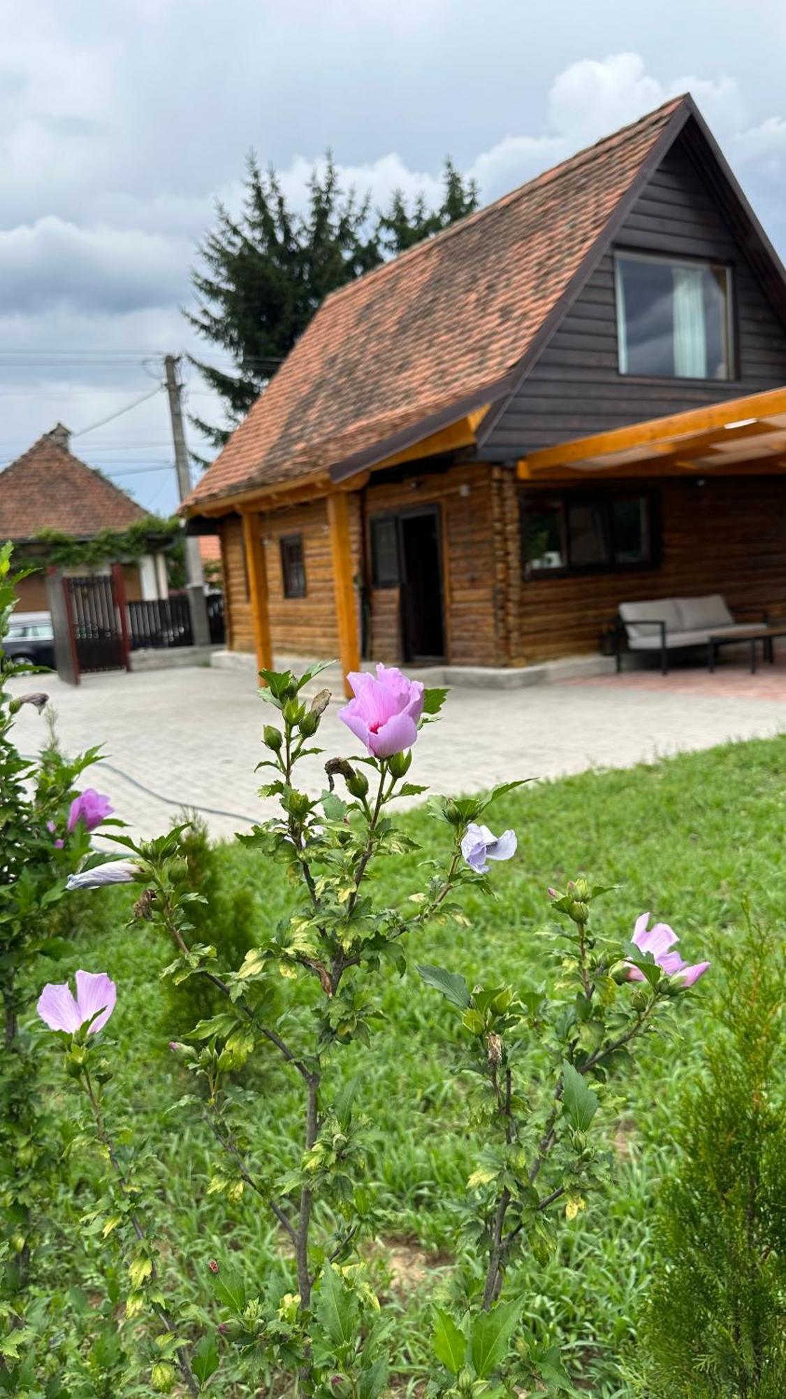 Casuta Cu Tihna Villa Porumbacu de Sus Exteriör bild