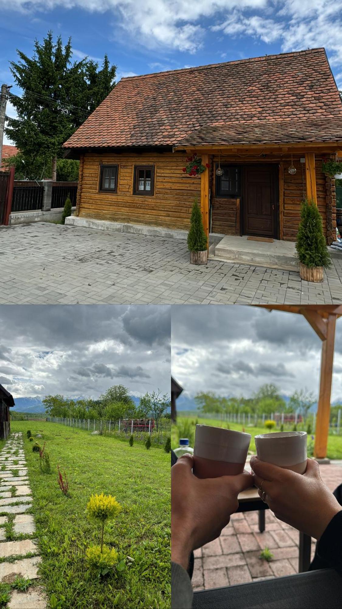 Casuta Cu Tihna Villa Porumbacu de Sus Exteriör bild