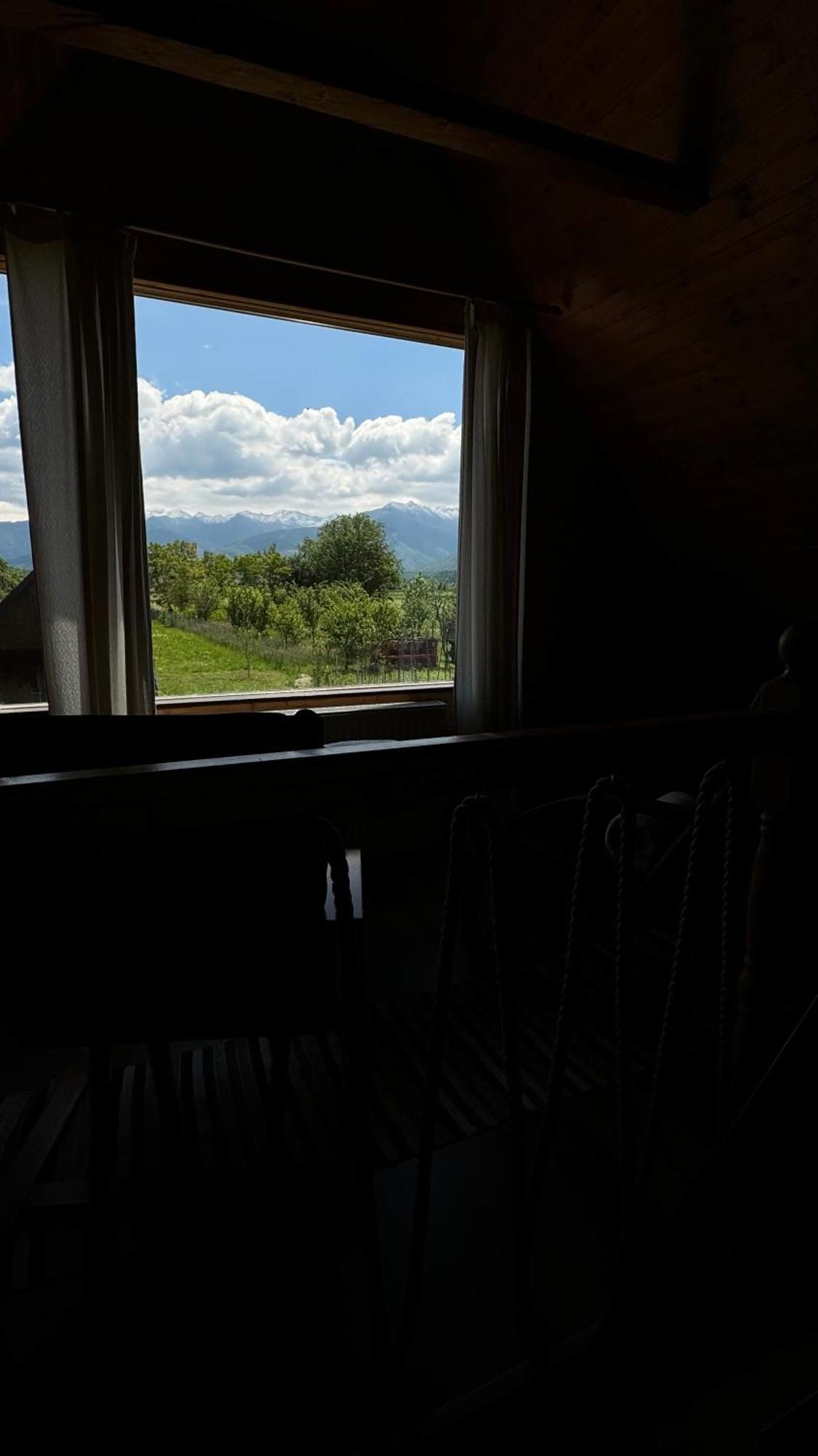 Casuta Cu Tihna Villa Porumbacu de Sus Exteriör bild